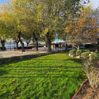 asador el canario - restaurante para ir con niños - carnes a la brasa (8)